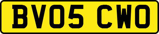 BV05CWO
