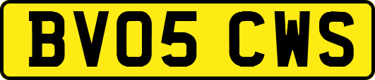 BV05CWS