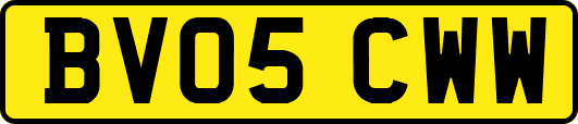 BV05CWW