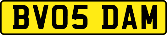 BV05DAM