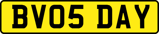 BV05DAY