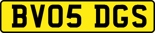BV05DGS