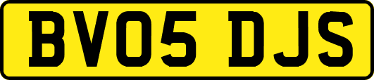 BV05DJS