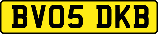 BV05DKB