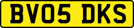 BV05DKS