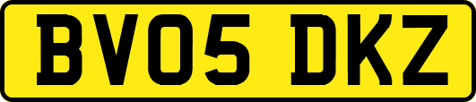 BV05DKZ