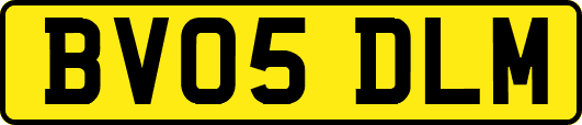 BV05DLM