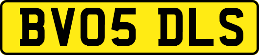 BV05DLS