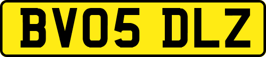 BV05DLZ