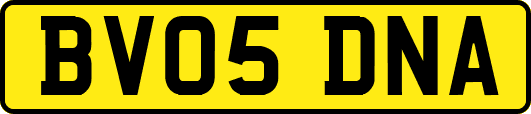 BV05DNA