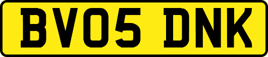 BV05DNK