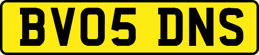 BV05DNS