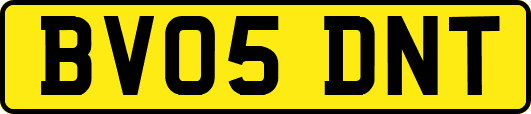 BV05DNT