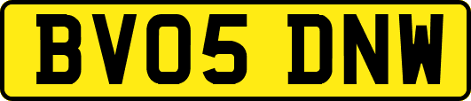 BV05DNW