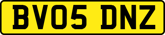 BV05DNZ