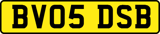 BV05DSB