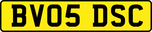 BV05DSC