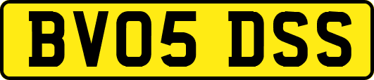 BV05DSS