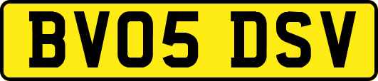 BV05DSV
