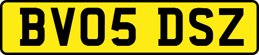 BV05DSZ