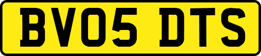 BV05DTS