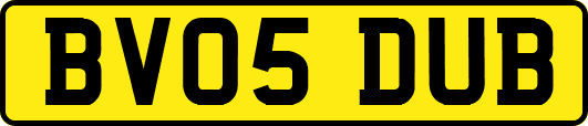BV05DUB