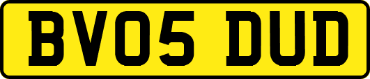 BV05DUD
