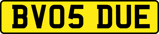 BV05DUE