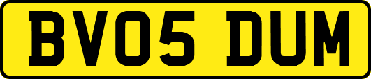 BV05DUM