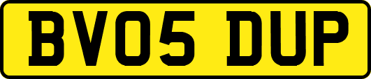 BV05DUP