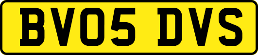 BV05DVS