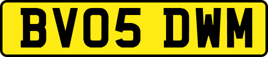 BV05DWM