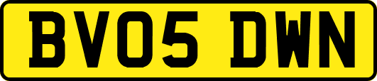 BV05DWN