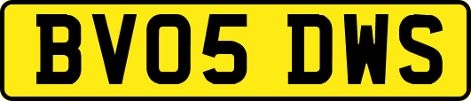 BV05DWS