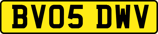 BV05DWV