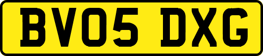 BV05DXG