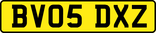 BV05DXZ