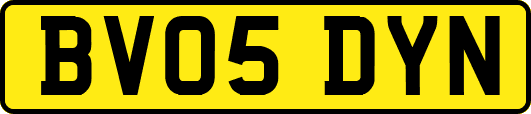 BV05DYN