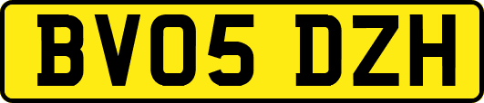 BV05DZH