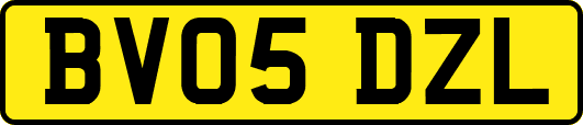 BV05DZL