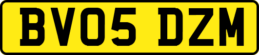 BV05DZM