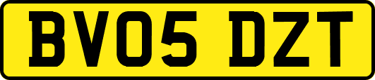 BV05DZT