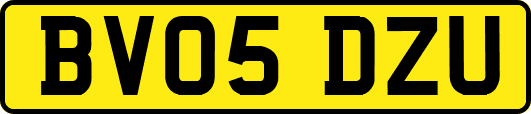 BV05DZU