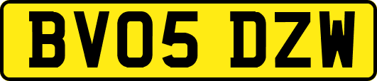BV05DZW