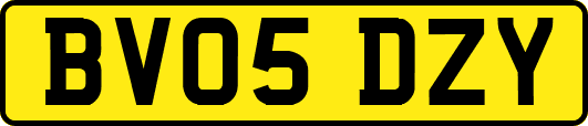 BV05DZY