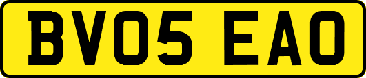 BV05EAO