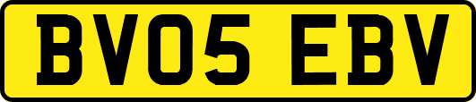 BV05EBV
