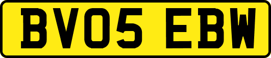 BV05EBW