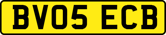 BV05ECB