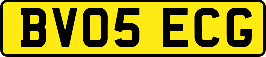 BV05ECG